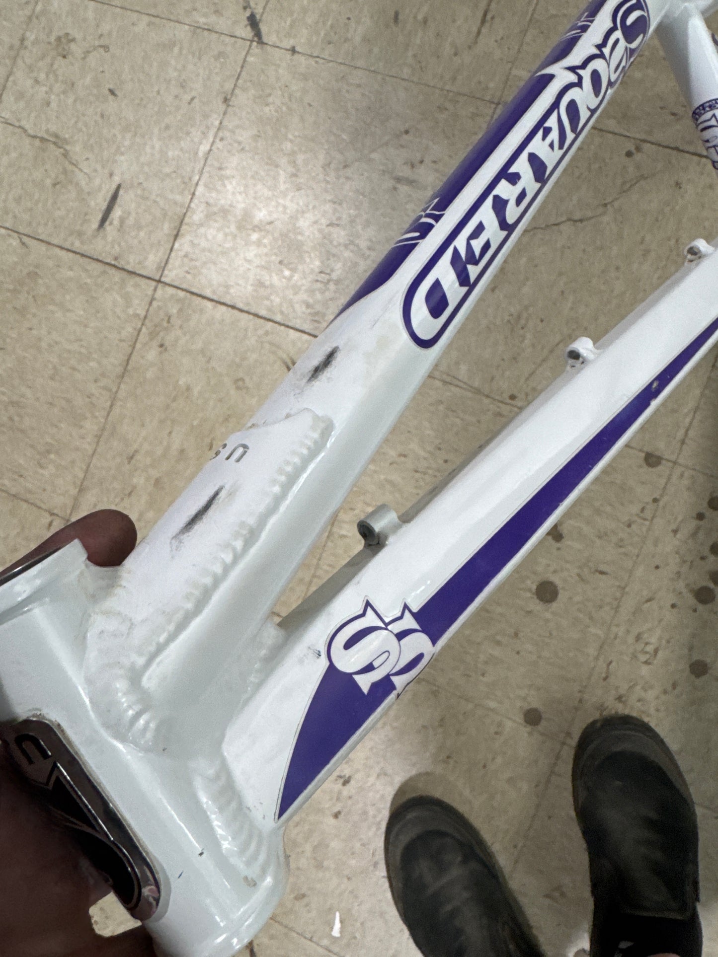 ssquared expert frame 19”tt
