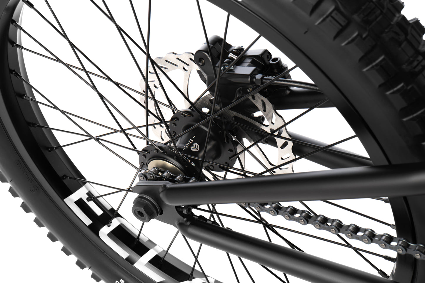 We The People Swamp Master