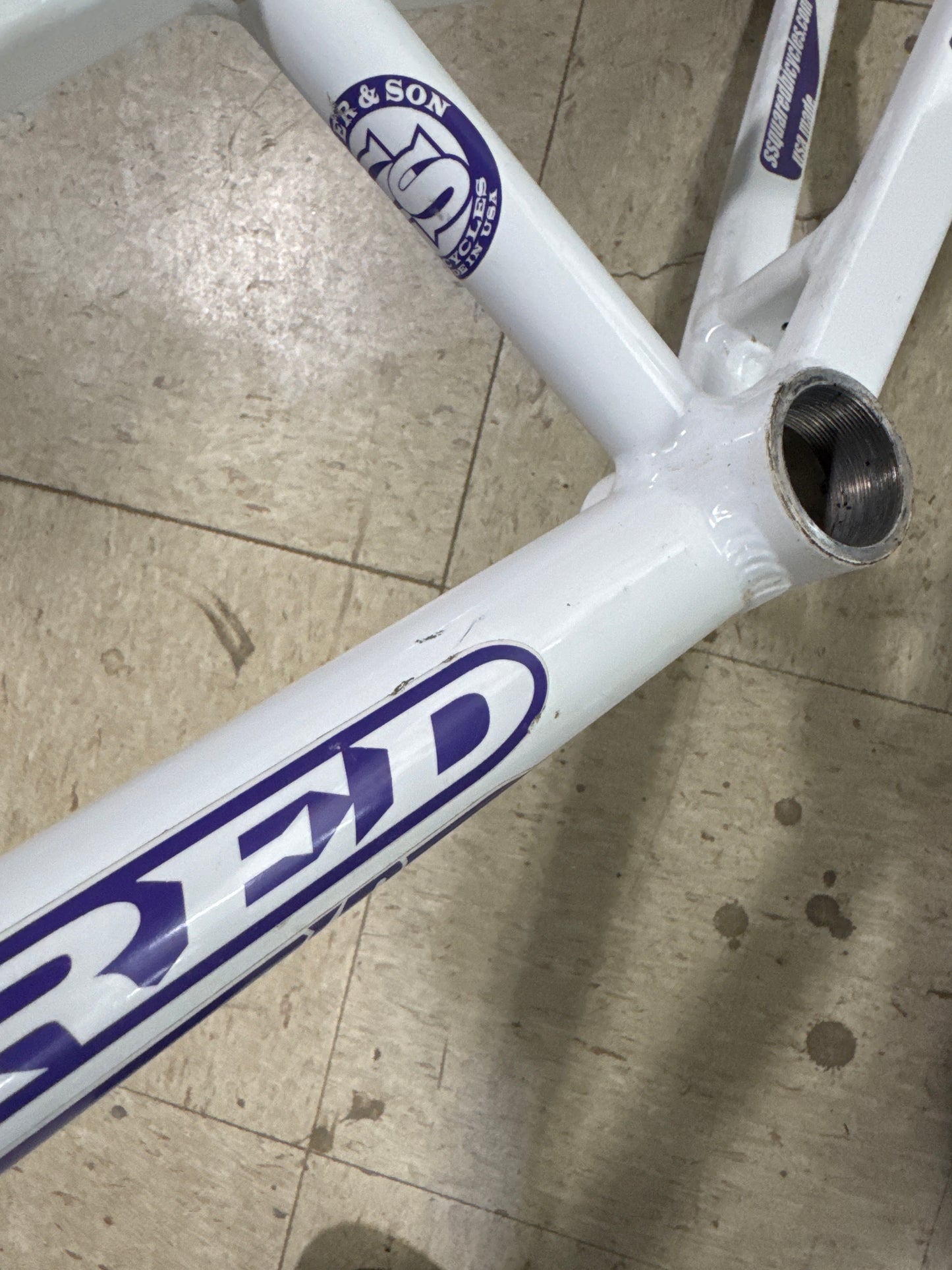 ssquared expert frame 19”tt