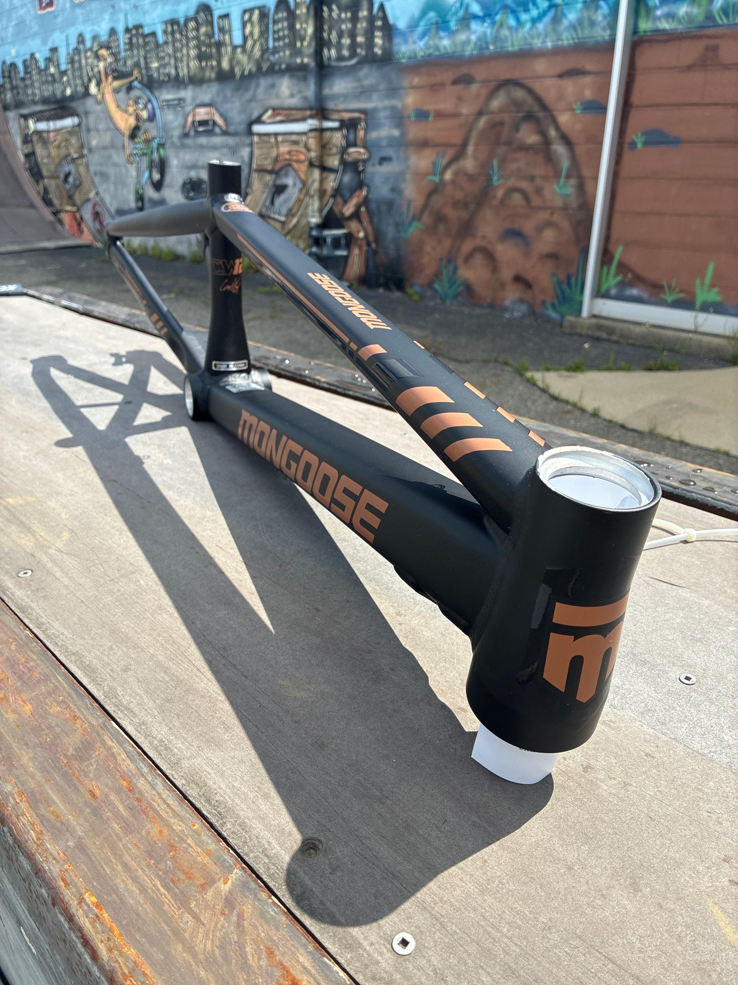 Mongoose Cam Wood Team issue frame