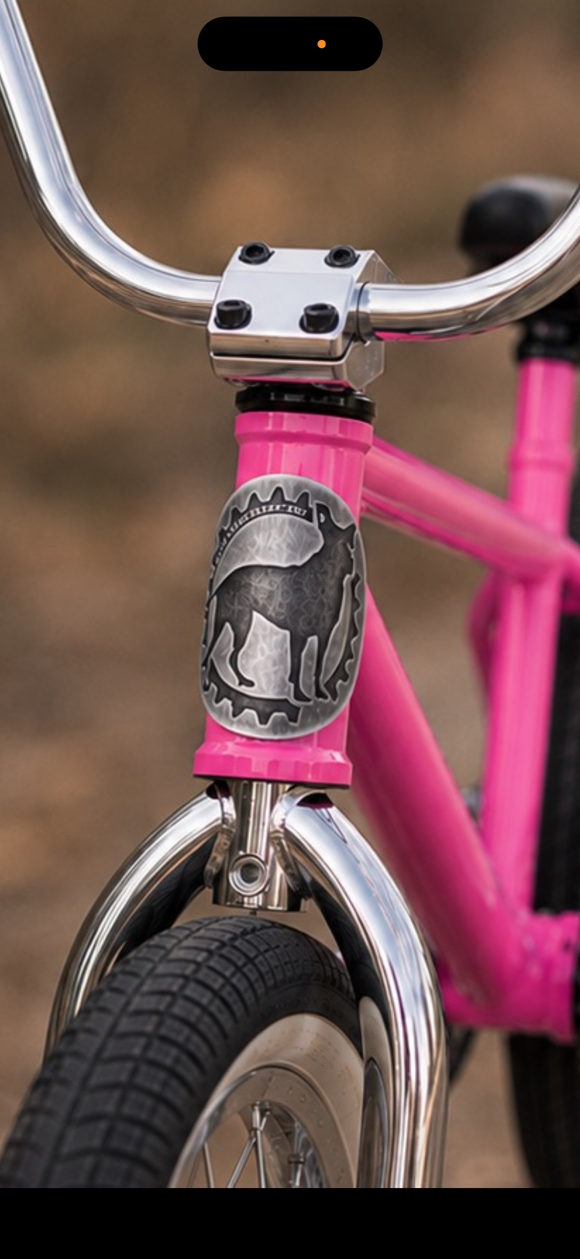 Pedals 2026 Headtube badge fundraiser pre order
