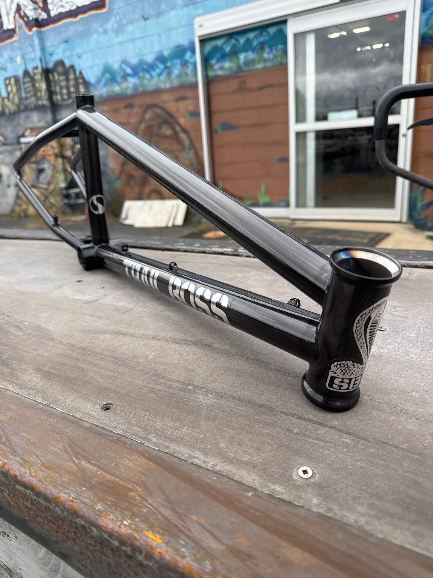 Standard Trail Boss Frame