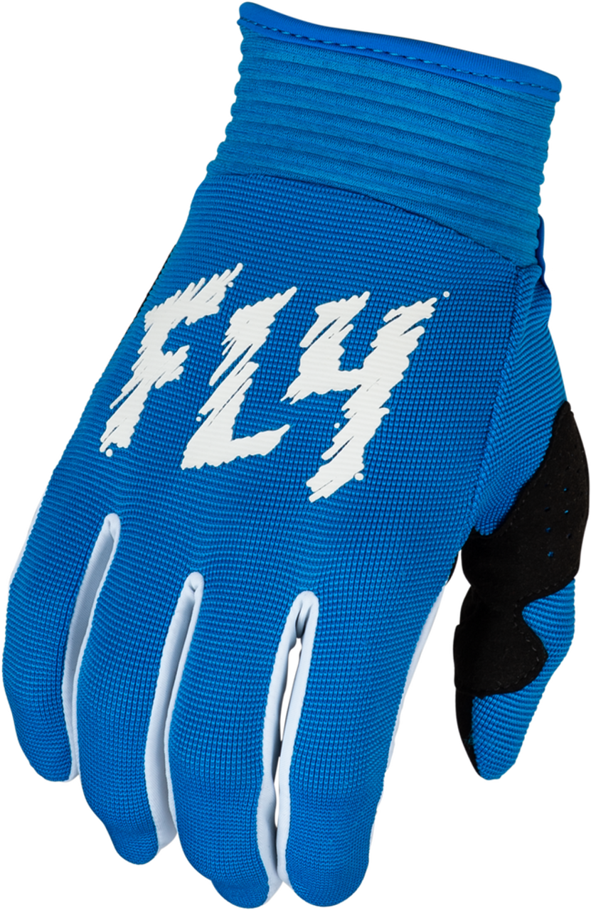 Fly Racing Youth Edition F-16 Gloves (2024)