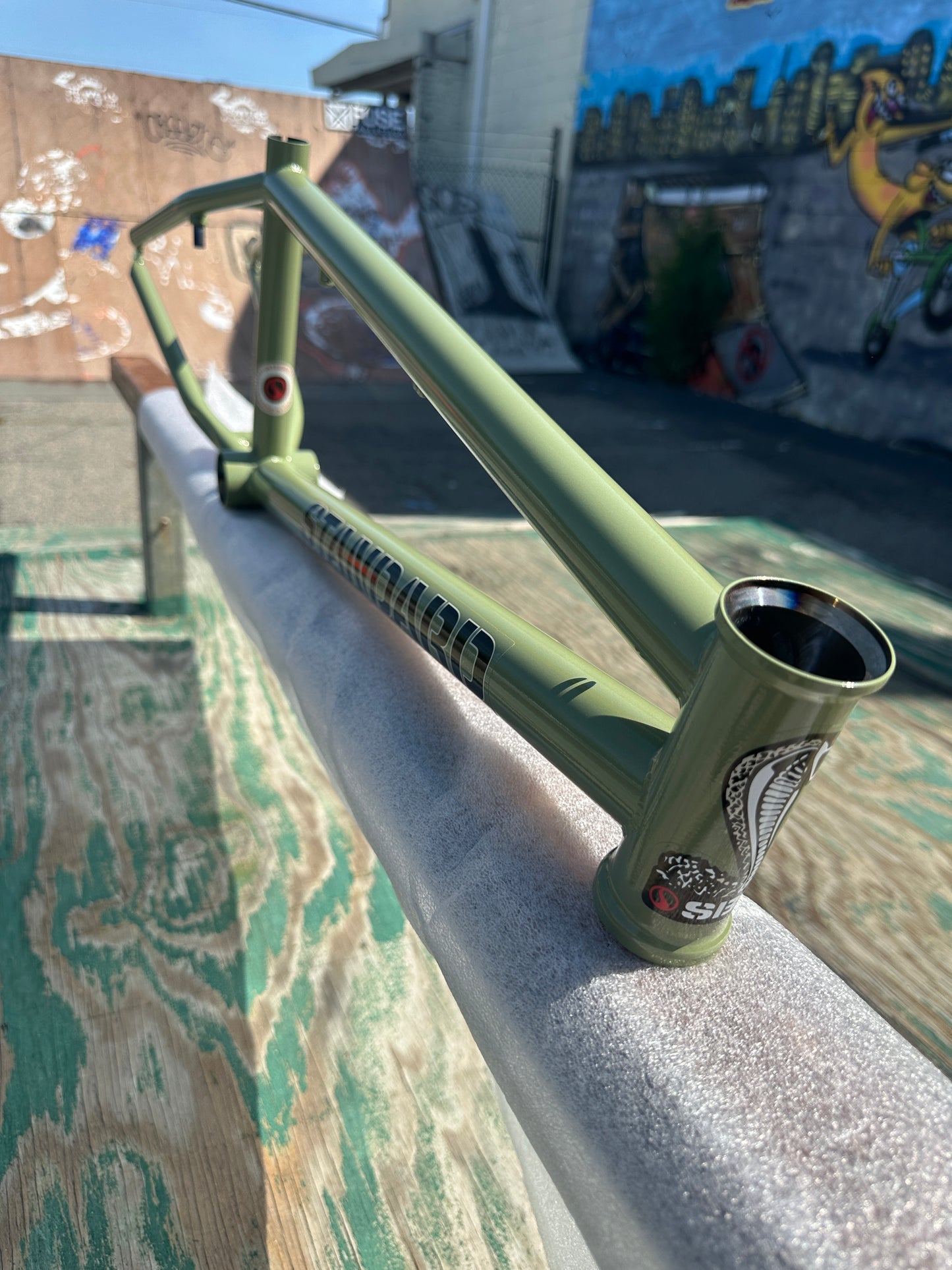 STANDARD BYKE 22" FRAME