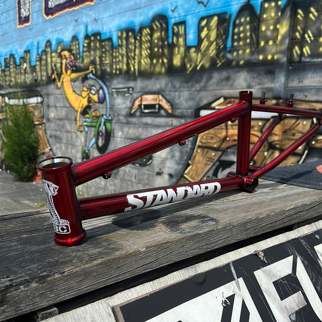 Standard 100R Expert Frame