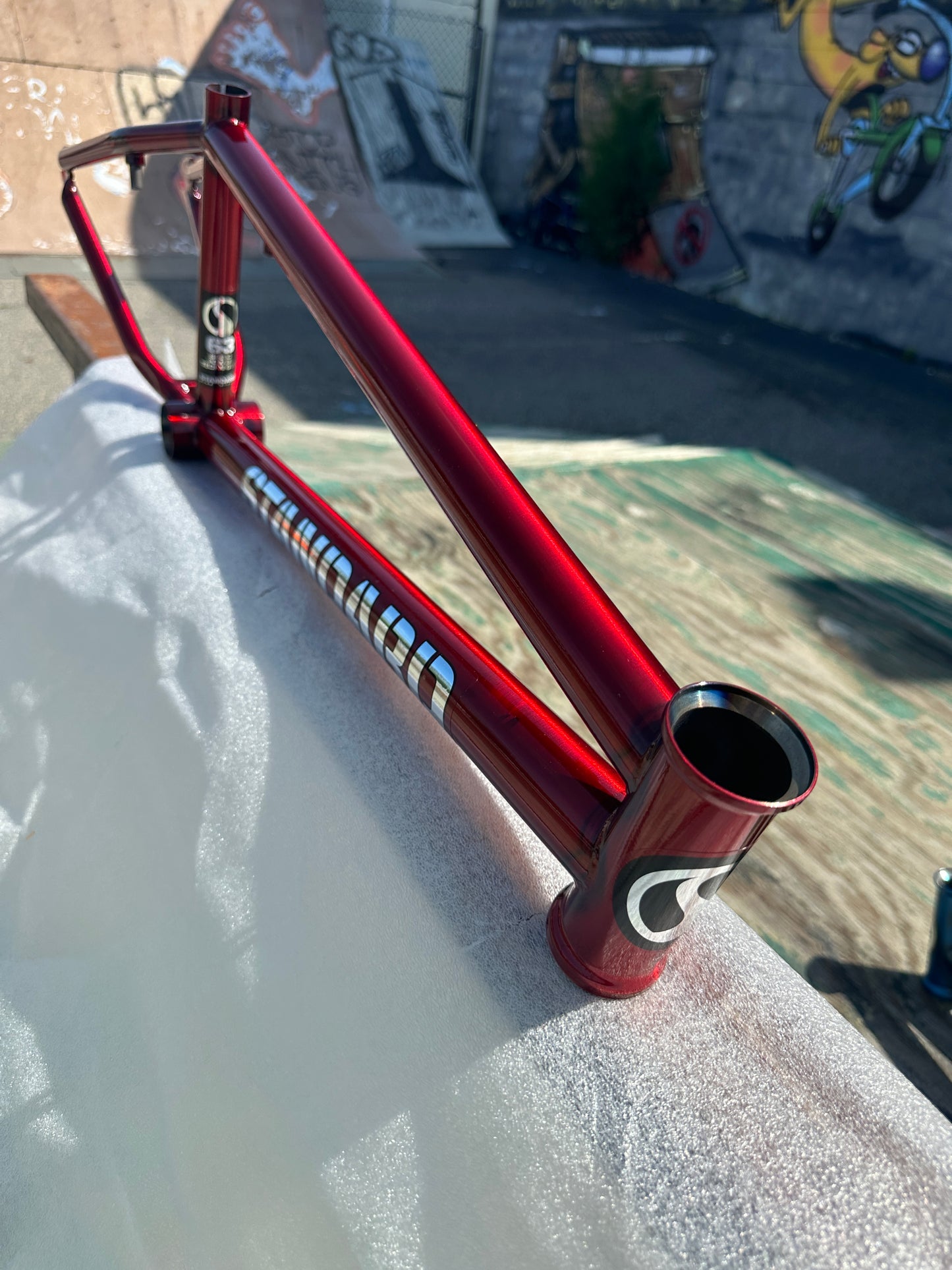 STANDARD BYKE 22" FRAME