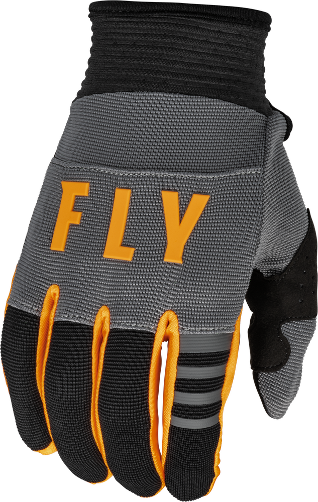 FLY RACING 2023 F-16 GLOVES