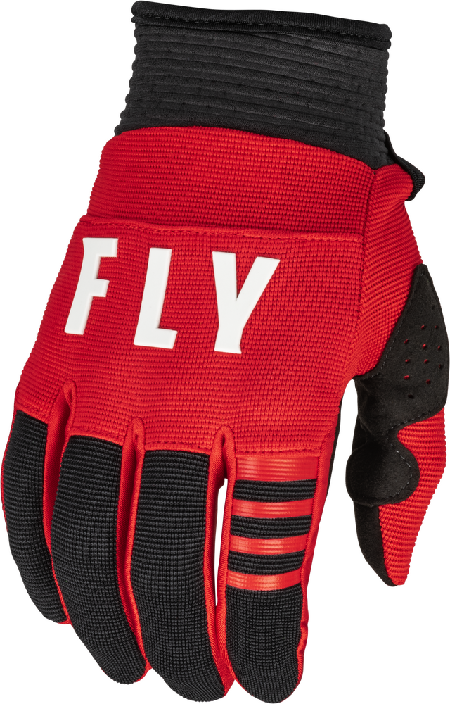 FLY RACING 2023 F-16 GLOVES