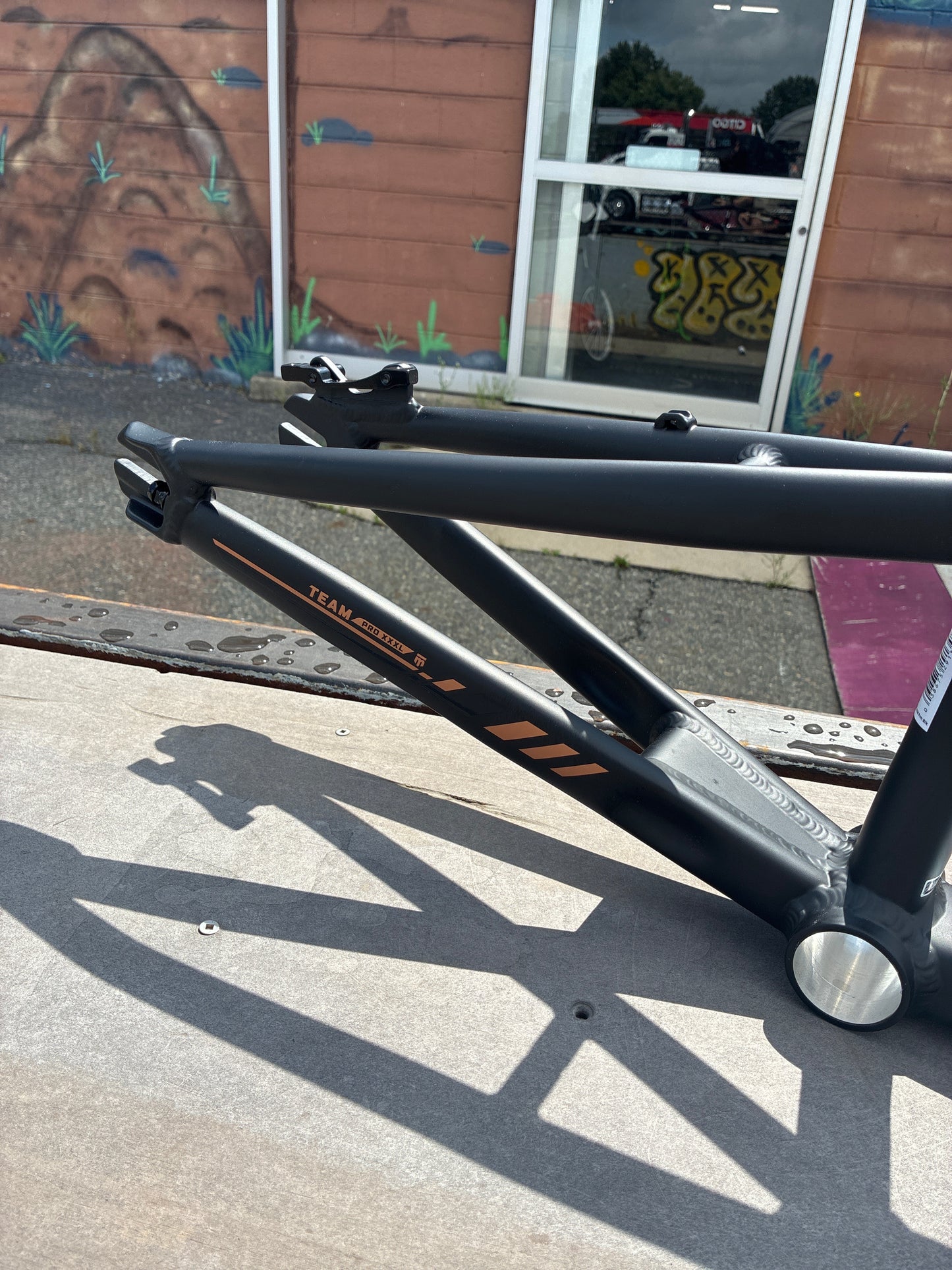 Mongoose Cam Wood Team issue frame