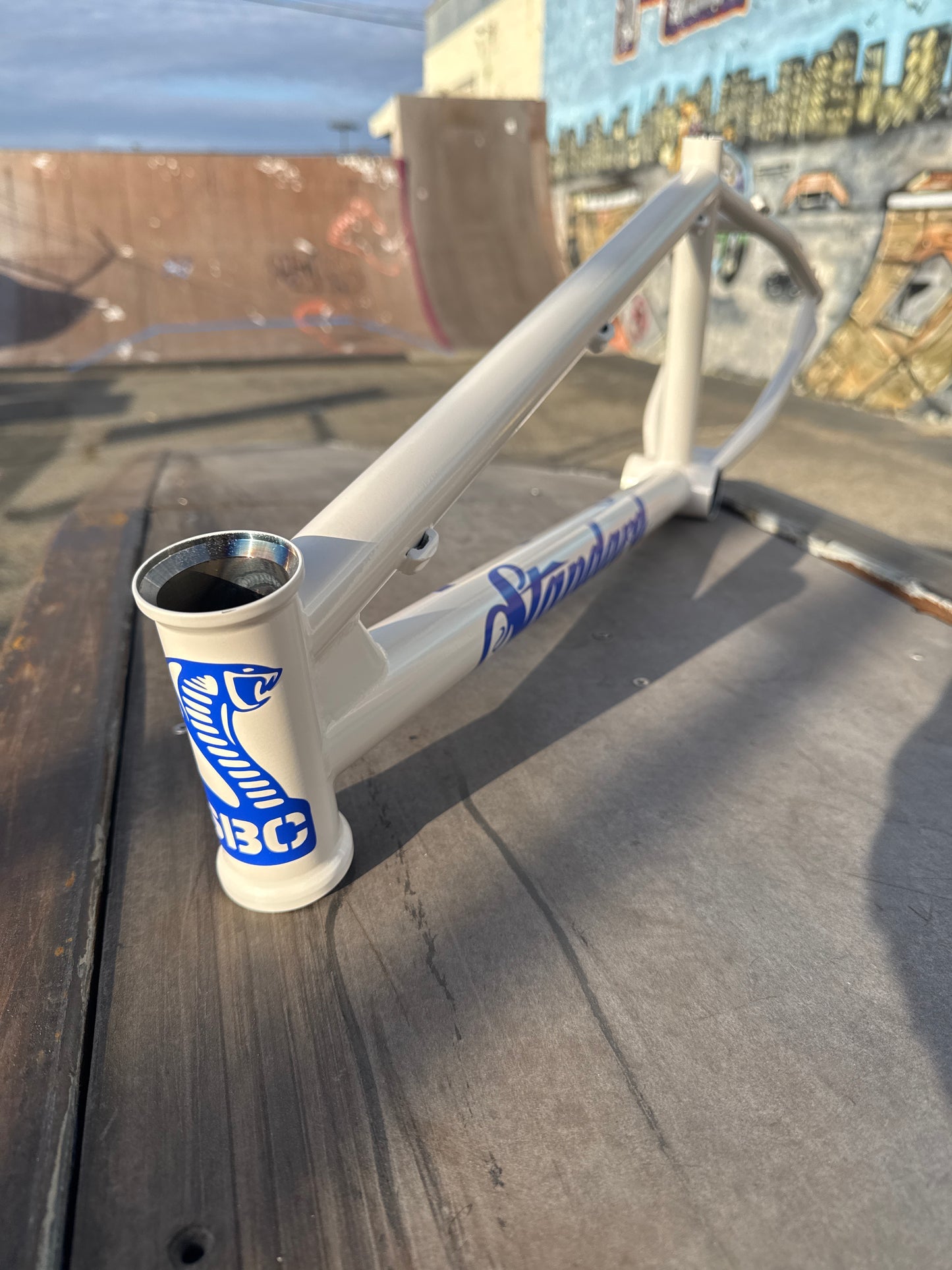 Standard Trail Boss disc Frame