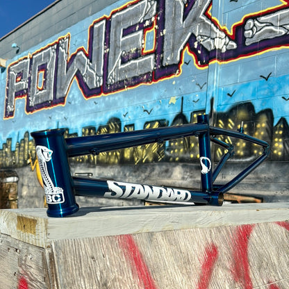 Standard 100R Expert Frame