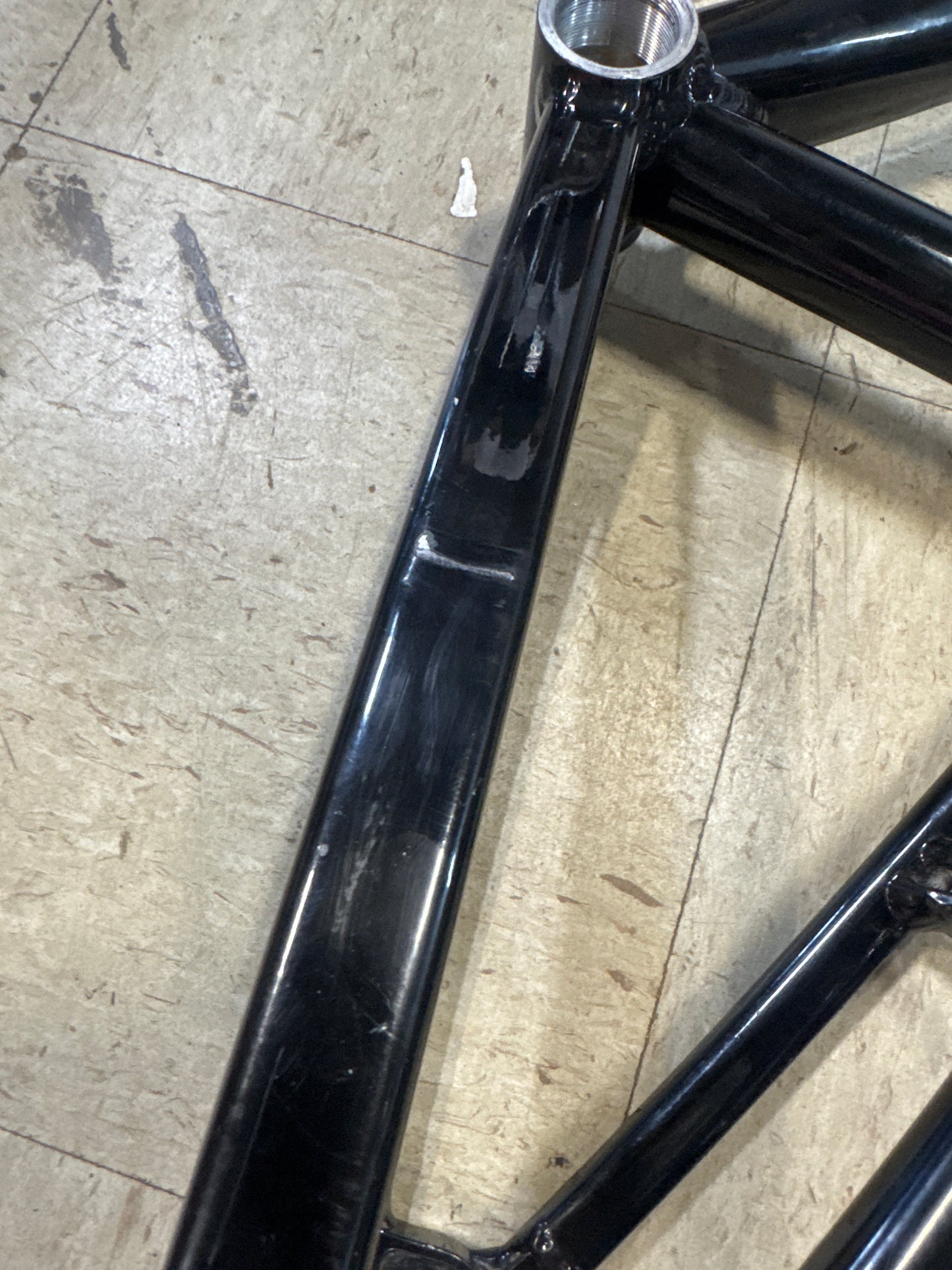 Phoenix phalcon Expert cruiser frame