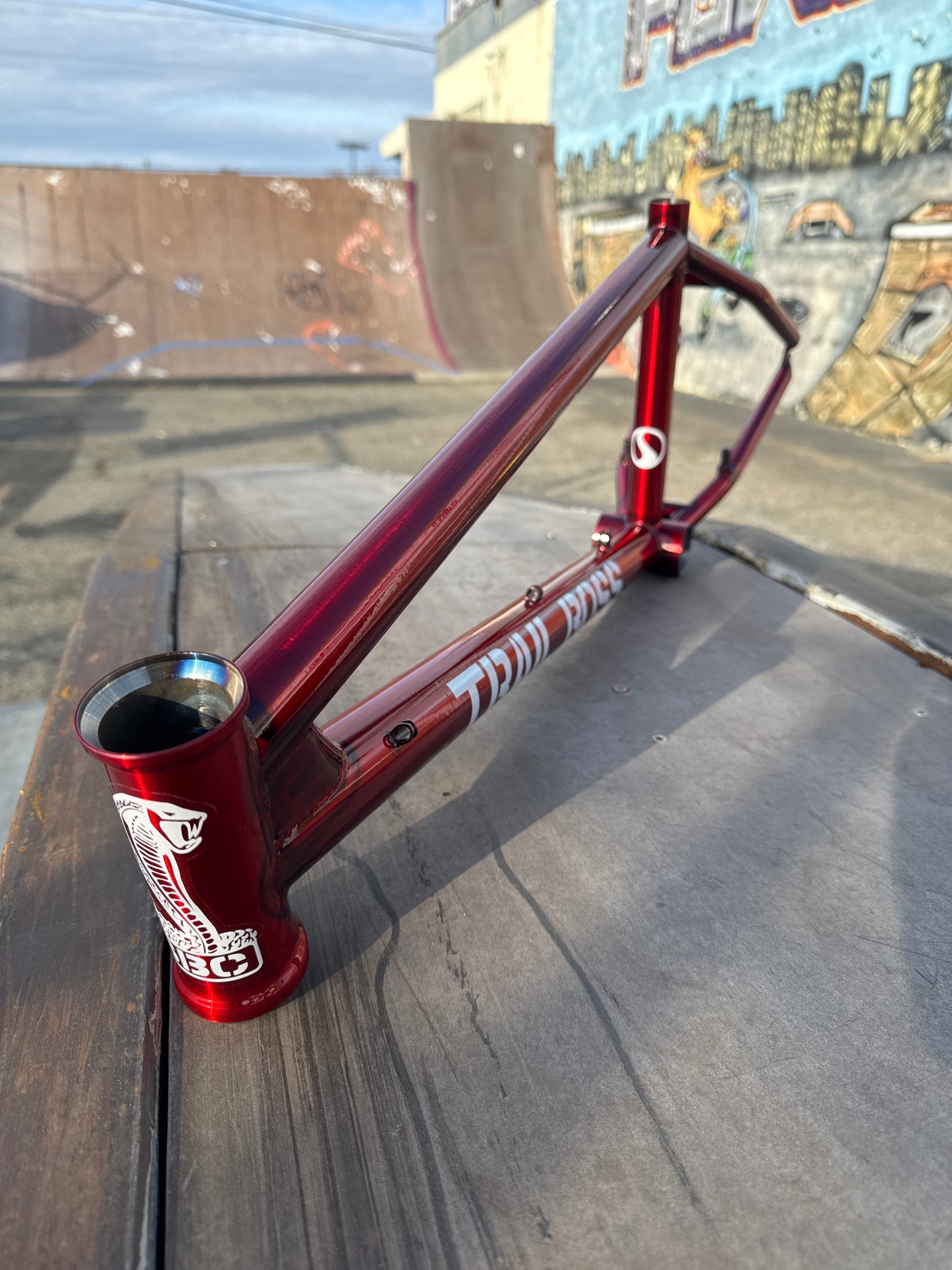 Standard Trail Boss Frame