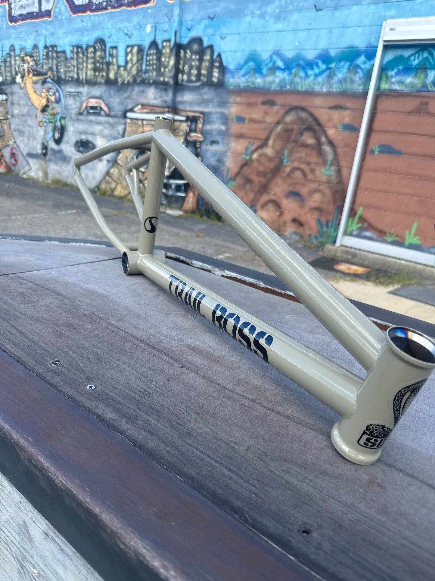 Standard Trail Boss disc Frame