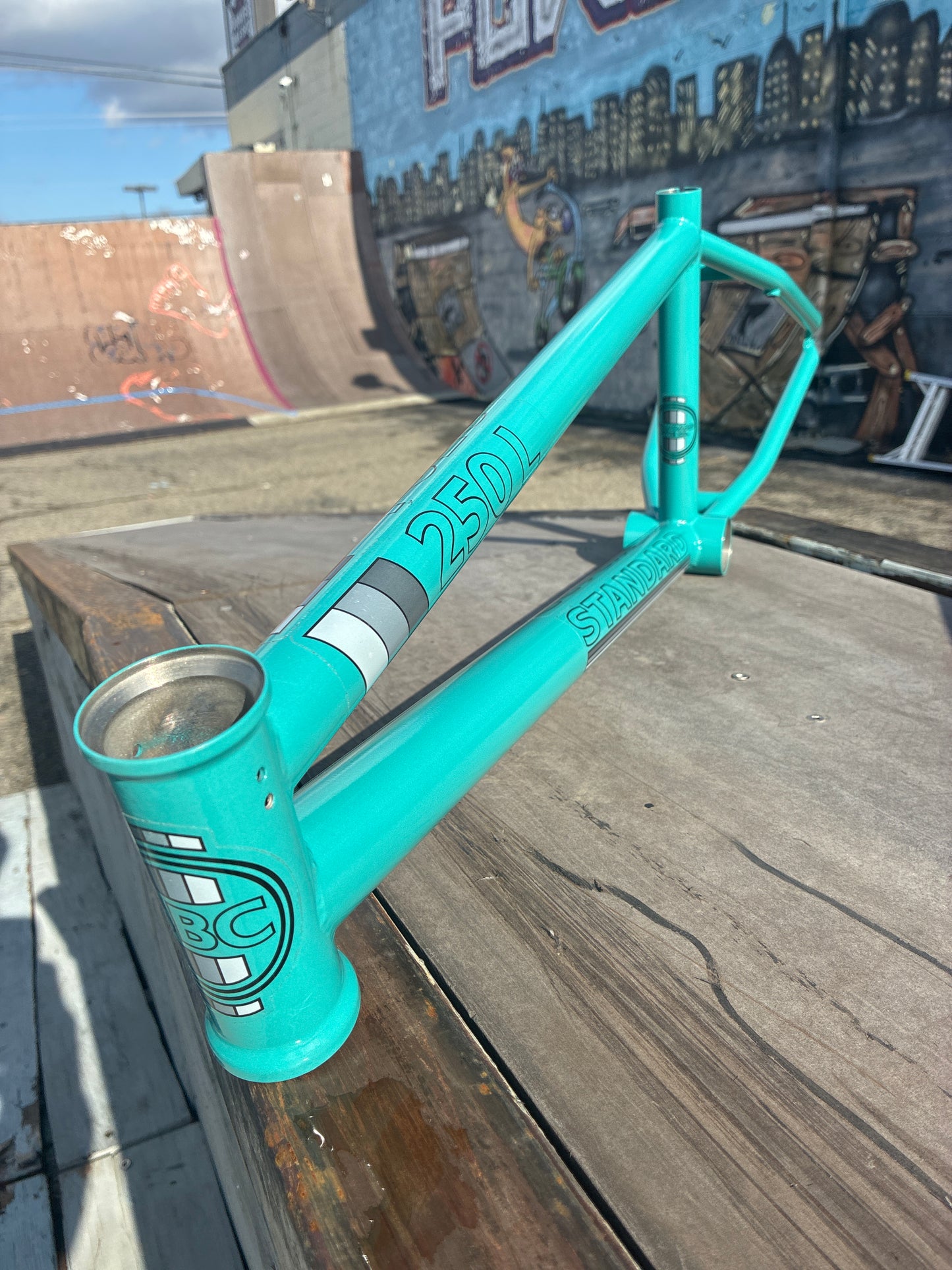 STANDARD BYKE 250L Frame