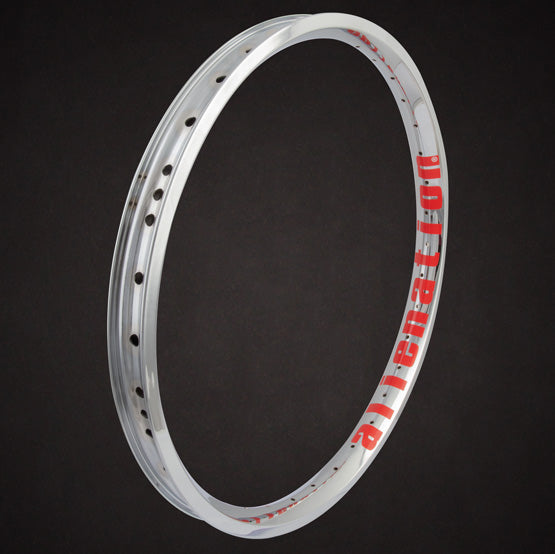 Alienation Vandal 20” 36H Rim