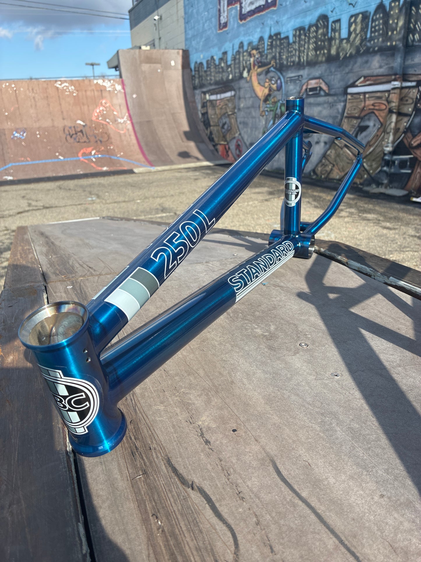 STANDARD BYKE 250L Frame