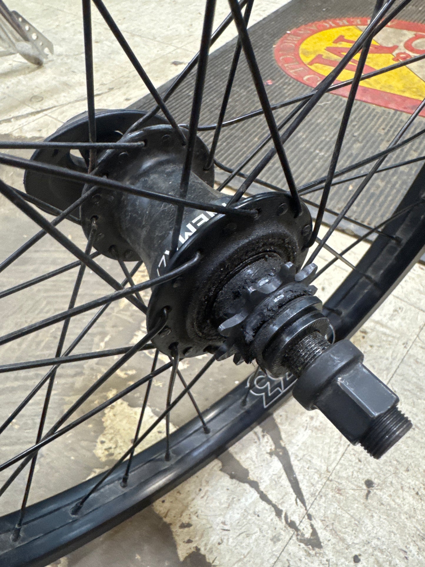 Cinema zx freecoaster rhd