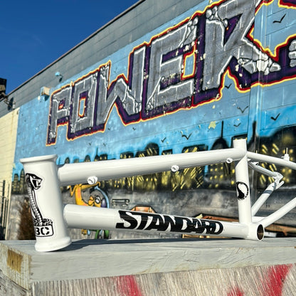 Standard 100R Expert Frame