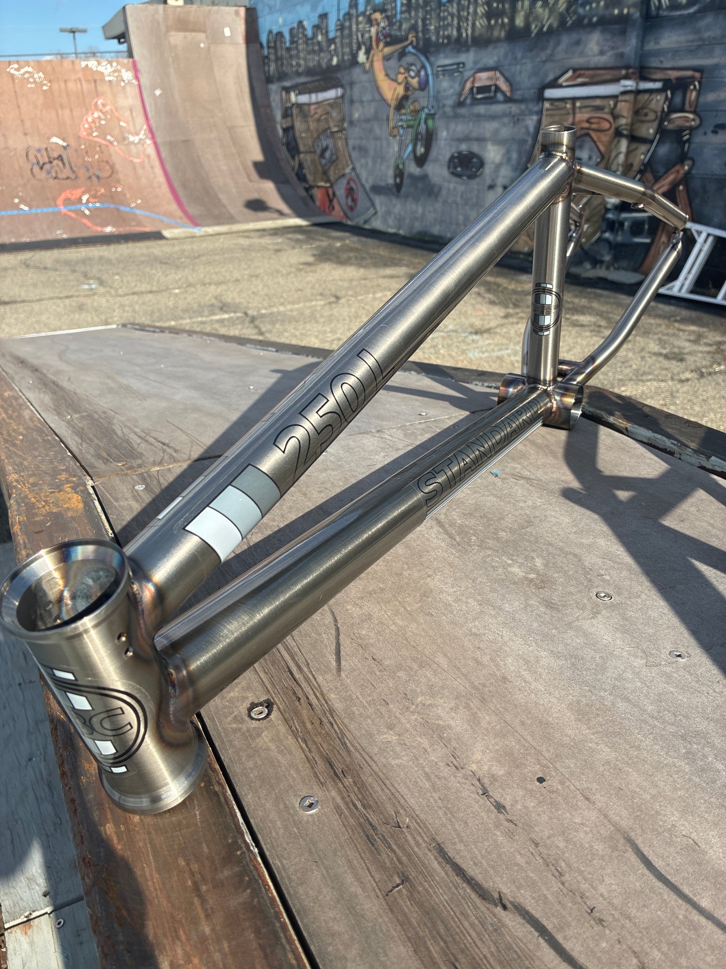 STANDARD BYKE 250L Frame