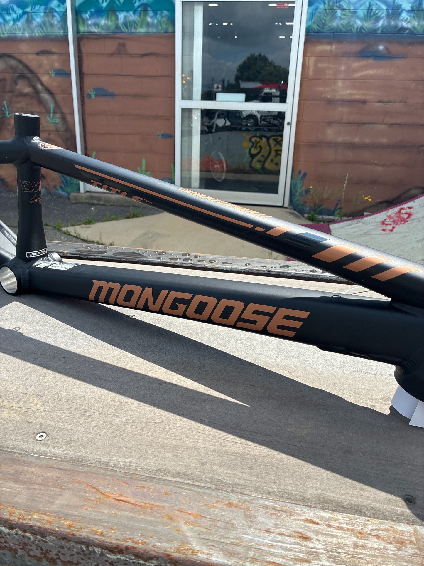 Mongoose Cam Wood Team issue frame