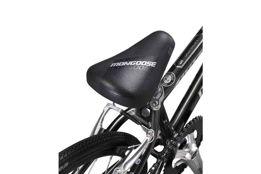Mongoose 22 inch best sale bike
