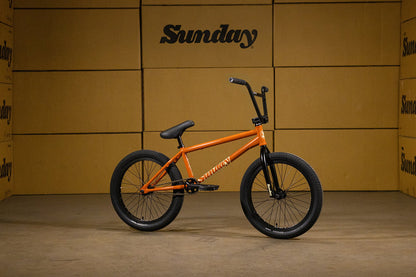 Sunday Forecaster - Jared Duncan Signature Gloss Burnt Orange with 20.75" tt in RHD