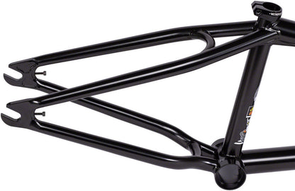 We The People Doomsayer Frame