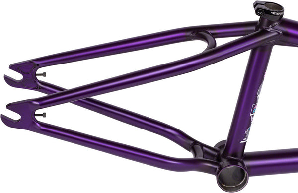 We The People Doomsayer Frame