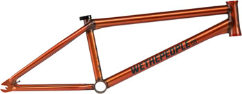 We The People Doomsayer Frame